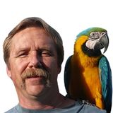 Need a Parrot Sitter for Your Feathered Kids?