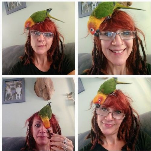 Pet Care Provider Christine K's Profile Picture