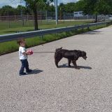 Vineland Pet Care Provider Available For Work part time.
