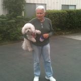 San Rafael Housesitter Looking For Job Opportunities in California