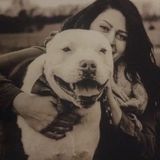 Pet Sitter Available For Job Opportunities in North Carolina