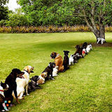 Quality LOW COST Lawn Services (South Austin)