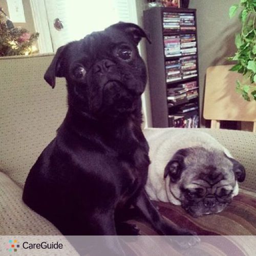 Pet Care Job Mike Roetzer's Profile Picture