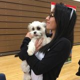 Experienced Petsitter that loves Animals. Kennel Crew at Virgin Valley Vet Hospital