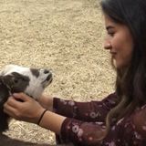 Rancho Cucamonga Dog Trainer Seeking Work in California
