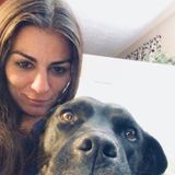 Available: Honest House and Pet Sitter in Eagle, Colorado