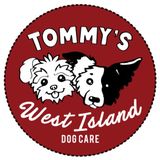 Indiana Dog House
