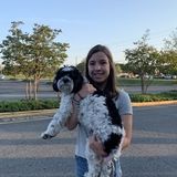 I am a high school senior and I am very trustworthy and reliable. I love animals and would love to help you when your away.