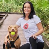 A Walked Dog...Is A Happy Dog! Playtime For Your Pets & Peace Of Mind For You!