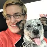 Loving Dog Walker in Uxbridge, Massachusetts