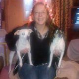 For Hire: Skilled and experienced Pet Sitter in Murfreesboro