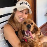 Hardworking Pet Sitter Available in mid-September