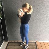 Skilled Dog Walking Available Now!