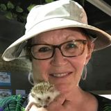 Mature reliable home/pet care