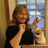 Elly Mays Pet sitting/walker/sleepovers Mokena, ILL ??