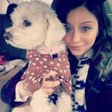 Experienced dog sitter - here to care for your furry friend!
