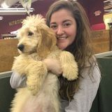 Careful Pet Sitter in Columbus