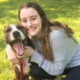 Hardworking Dog Walker/Sitter Available