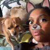 Petnanny Amanda professional reliable trustworthy