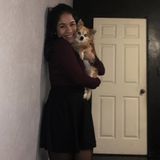 Available: Consistent Dog Sitting Professional in Weslaco