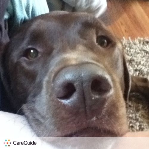 Pet Care Provider Aleta N's Profile Picture