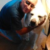 Hendersonville House and Petsitter Searching for Being Hired
