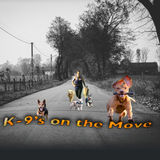 Your full service dog walker