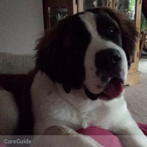Pet Care Provider Kandice M's Profile Picture