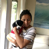Loving Dog and Cat Sitter in Palo Alto, California