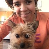 Dartmouth Pet sitting and walking and play Feed
