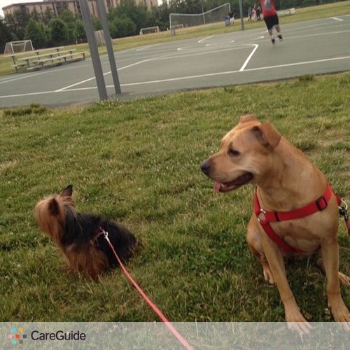 Pet Care Provider Brenda C's Profile Picture