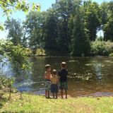 Energetic and Responsible Care Needed for Three Children