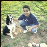Capable Pet Sitter for Your Home. I am also an experienced Dog Walker as well.