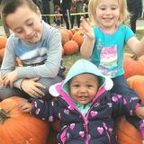 Hoping to Connect with a Passionate Sitter in Oshawa