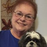 Searching for Davison Pet Service Provider Jobs