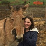 Helping owners catch a little free time or get help with a pet!