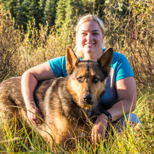 Professional Dog Walking Pet Sitting House Sitter Dog Walker Pet Sitter In Edson Ab Petsitter Com