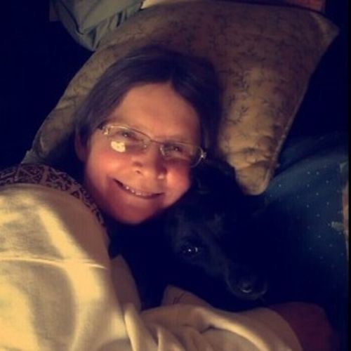 House Sitter Provider Debra R's Profile Picture