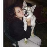 Looking For a Pet Sitter Opportunity in De Soto