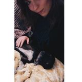 Interested In Pet Sitting Job in Longmont or Boulder!