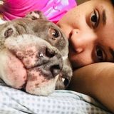 Consistent Pet Sitting Available Now!