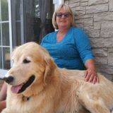 Seeking Saint Catharines Housekeeping Service Opportunity