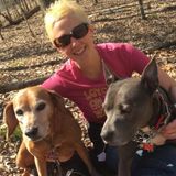 2 Dogs and a Cat need you while I'm away.