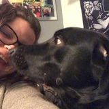 Available For Crystal Lake Animal Caregiver Jobs