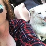 Animal Lover Looking for a Job