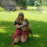 Dog & cat-sitter for hire.