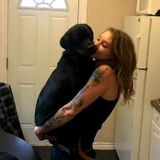 Caring Pet Sitting Professional
