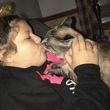 Hard Working Pet Sitter in Cohoes, New York