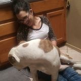 Well Trained Pet Sitter in Phoenix