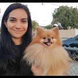 Veterinary Technician student looking to care for your pet!